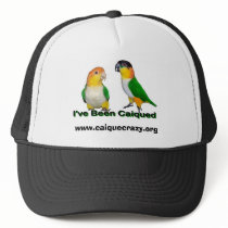 Caique Hat