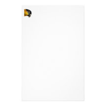 Caique Head Stationary Stationery