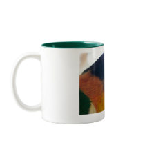 Caique Mug