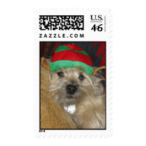 Cairn Christmas Stamp stamps