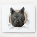 Cairn Terrier 2 Busting Out mousepads by cartoondogs Cairn Terrier 2 Busting Out mousepads