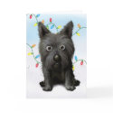Cairn Terrier 2 Christmas cards by cartoondogs Cairn Terrier 2 Christmas cards