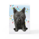 postcard - This cute Christmas cartoon of an sweet Cairn Terrier puppy is only available from Cartoon Dogs. A Cairn Terrier Christmas card from Cartoon Dogs is a Christmas card that will stand out from the rest of the pack. Show off your love for your Cairn Terrier with this Christmas card!