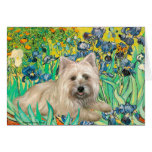 Cairn Terrier 4 - Irises Cards