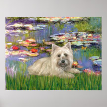 Cairn Terrier 4 - Lilies 2 Posters