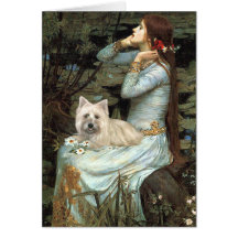 Cairn Terrier 4 - Ophelia Seated Greeting Card