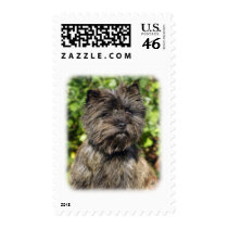 Cairn Terrier 9W048D-142_2 postage