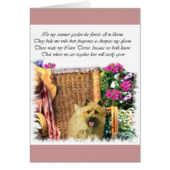 Cairn Terrier Art Gifts card