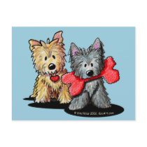 Cairn Terrier Duo Postcard postcards