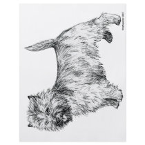 Cairn Terrier flyers