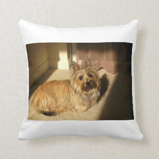 cairn terrier pillows