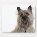 Cairn Terrier Mousepad by ValentinaRose Cairn Terrier Mousepad