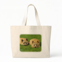 Cairn Terrier puppies 9W048D-007 bags