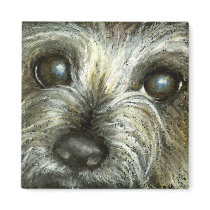 Cairn terrier puppy magnets by tanyabond Cairn terrier puppy magnets