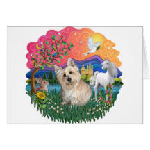 Cairn Terrier (wheaten 3) Card