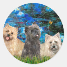 Cairn Terriers 4-13-21 - Lilies 3 Stickers