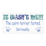 CairnTerrier Photo Greeting Card
