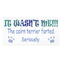 CairnTerrier Photo Greeting Card