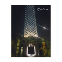 cairo tower bird postcard