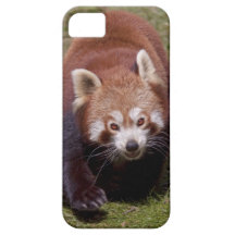 Caja de la casamata del iPhone 5 del bandido iPhone 5 Protectores