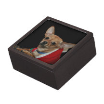 Caja de regalo del perro de la chihuahua cajas de joyas de calidad