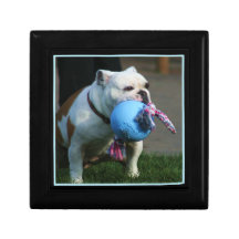 Caja de regalo del perro del dogo