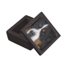 Caja de regalo superior de Berner Sennenhund Caja De Regalo De Calidad