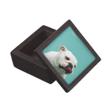 Caja de regalo superior del dogo cajas de recuerdo de calidad