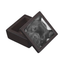 Caja de regalo superior del dogo francés cajas de recuerdo de calidad