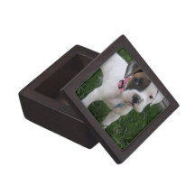 Caja de regalo superior del perrito blanco del box caja de regalo de calidad