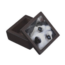 Caja de regalo superior fornida observada azul cajas de regalo de calidad