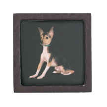Caja del recuerdo del fox terrier del juguete caja de joyas de calidad