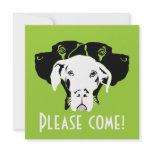 Caja Drei Doggen Personalized Invitation
