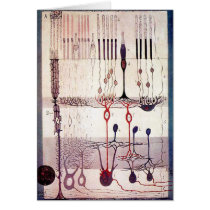 Cajal Greetings cards