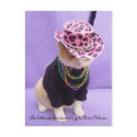 Cajun Bubba Kitty postcards by myrtieshuman Cajun Bubba Kitty postcards