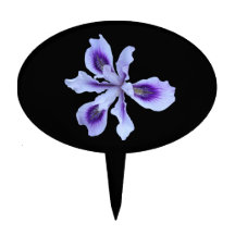 Cake Pick, Purple Iris