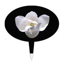 Cake Picker, White Magnolia Blossom
