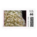 Cake postage by Eclectic_Liz Cake postage