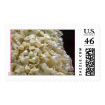 Cake postage