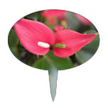 Cake Topper - Red Anthurium Twins