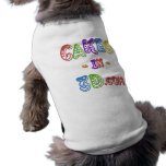 Cakes in 3D logo Pet Tee