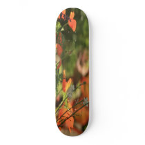 cal poppy skateboards