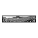 Cal Stanford Big Game Football Photo 1930 posters