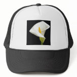 Cala Lillies hats