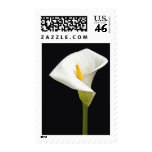 Cala Lillies Stamp