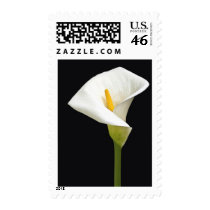 Cala Lillies Stamp
