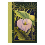 Cala Lilly Card