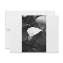 Cala-Lilly Flower invitations