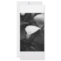 Cala-Lilly Flower rack cards