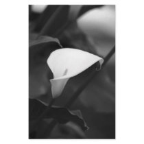 Cala-Lilly Flower Personalized Stationery